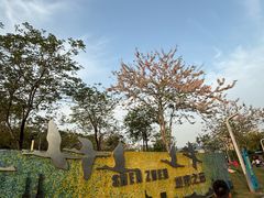 -白石龙音乐公园