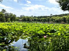-承德避暑山庄景区