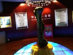 -诸城市恐龙博物馆
