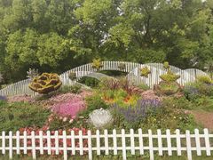 -上海共青森林公园