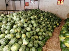 -三亚新鸿港水果一级批发市场