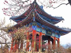 -应天大明王朝·南京菜(中山陵店)