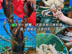 -三亚亚特兰蒂斯度假区