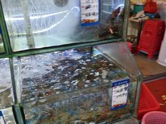 -万尾金滩