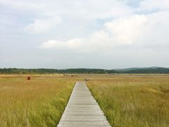 -塞罕坝国家级自然保护区