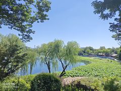 -立城苑小金星幼儿园