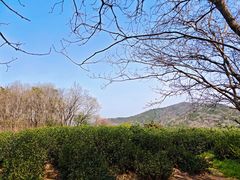-南北湖风景区