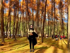 -硗碛藏寨·神木垒景区