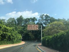 -南国桃园旅游度假区