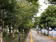 -台场海滨公园船码头