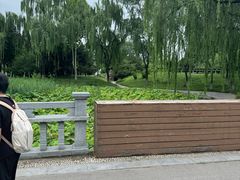 -石家庄市植物园