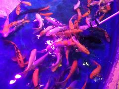 -梦幻海洋王国(吾悦广场张家港店)