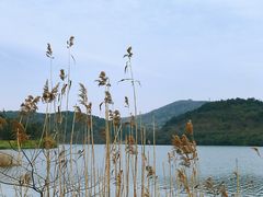 -南京市无想山景区