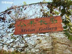 -苏州太湖西山岛开心农场
