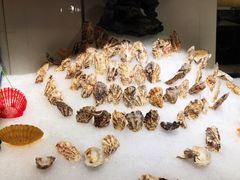 -芭菲盛宴·环球美食(锦城万达广场店)