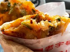 -半月镰胡姐脆皮萝卜饺子