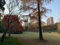 -宋庆龄陵园