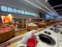 -龍歌自助小火锅(漳州二路爱购店)