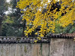 -惠山古镇·寄畅园