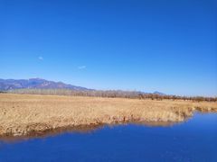 -野鸭湖国家湿地公园