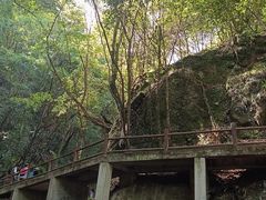 -苍龙峡风景区