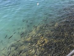 -青海湖二郎剑景区
