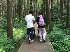 -同里国家湿地公园