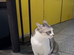 -谜盒子奇幻密室(南屏店)
