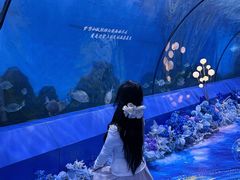 -重庆欢乐海底世界