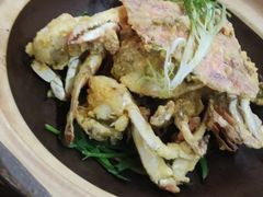 -聚味大牌档·粤菜·啫啫煲·砂锅粥