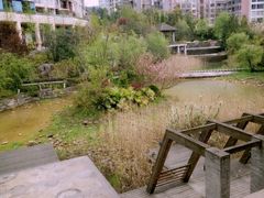 环境好让人看了心情瞬间就好了.-黔蘑菇四季餐厅(观山湖店)