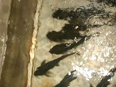 -铁锅炖灶台鱼老三炖鱼馆