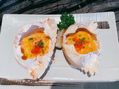 美乃滋焗蟹宝-将太无二·蓝鳍放题·北美寿司(领展购物广场中关村店)
