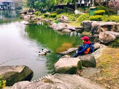 -白马涧龙池景区