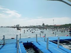 -碧海金沙