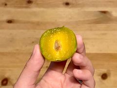 微微有一点软的青果-歎雪糕低糖低脂Gelato冰淇淋