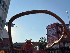 -马六甲鸡场街