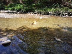 -桤木河湿地公园