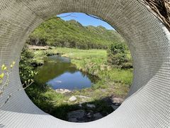 -大围山国家森林公园