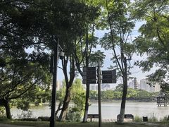 -江心屿景区