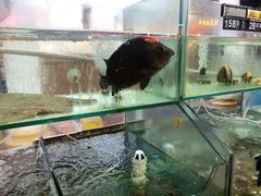 水产区-四海鲜渔家菜(黄金海岸店)