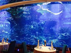 -迪拜帆船酒店海底餐厅