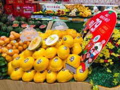 -百果园(板桥路蓝水湾店)