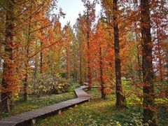 -国家植物园南园