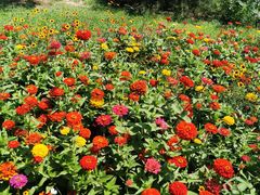 -永定河休闲森林公园