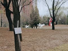 -迎泽公园