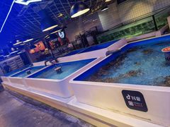 -日进一片海.生腌海鲜火锅.宵夜烧烤(三里屯总店)