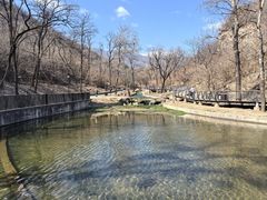 -白水寺森林公园