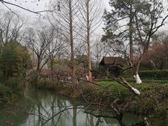 -西溪国家湿地公园