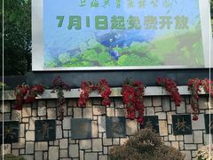 -上海共青森林公园